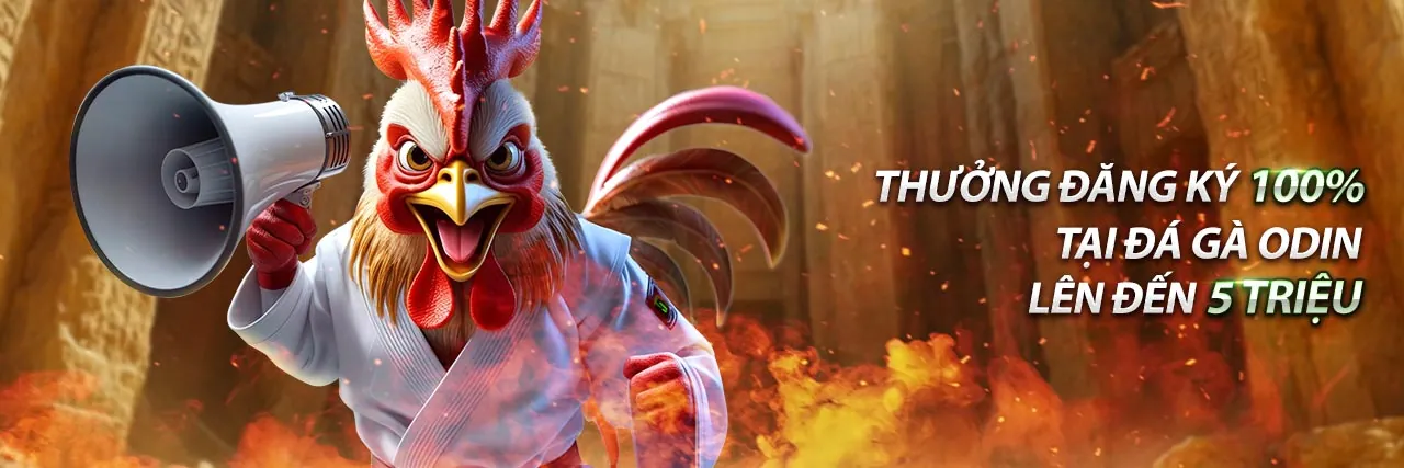 Cập nhật bảo mật MB66